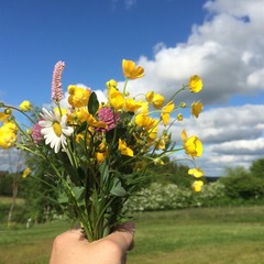 Gr&uuml;ner Daumen statt rote Augen