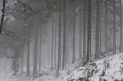 Krebspatienten im Winter besonders gef&auml;hrdet