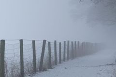 Lichtmangel und Antriebslosigkeit