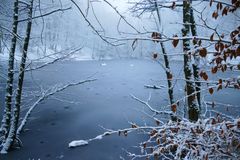 Gaaanz d&uuml;nnes Eis!