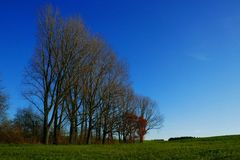 Am fr&uuml;hen Abend noch oft leichte Plusgrade