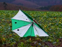 So turbulent wird der heutige Freitag