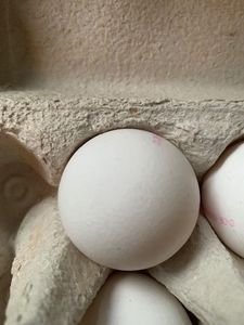  'F&uuml;r ’n Appel und ’n Ei?'