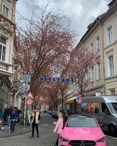 Rosa ist nur der Benz