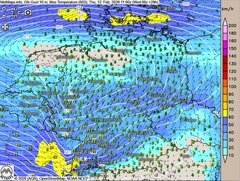 Friesennerz von Vorteil
