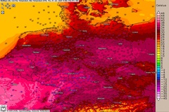 Knapp 40 Grad - Deutschland im Hitzegriff!