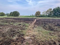 Spiel mit dem Feuer
